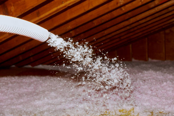 Best Energy Efficiency Insulation in Orono, MN