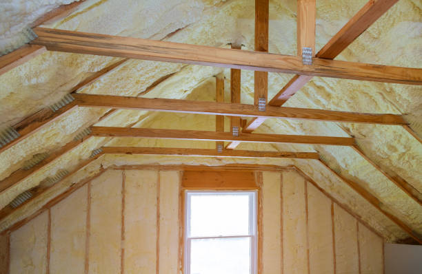Best Insulation Maintenance and Repair in Orono, MN