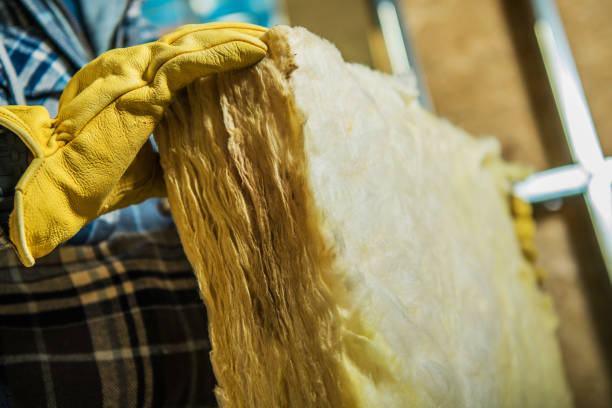 Best DIY Insulation Kits and Guidance in Orono, MN