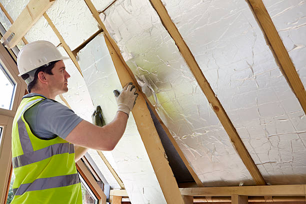 Best Cellulose Insulation in Orono, MN