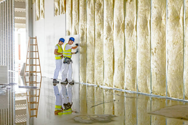 Types of Insulation We Offer in Orono, MN